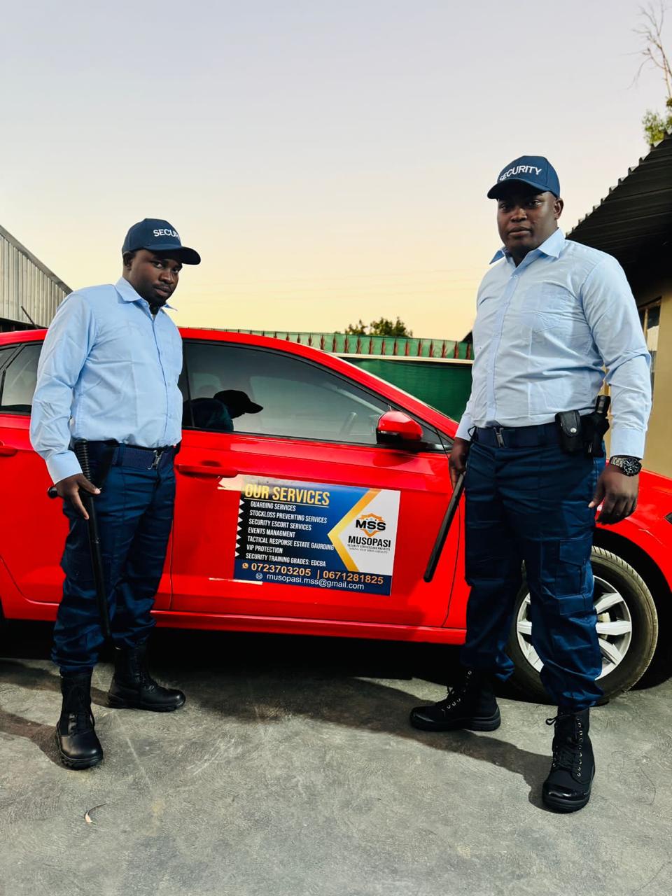 Security Professional